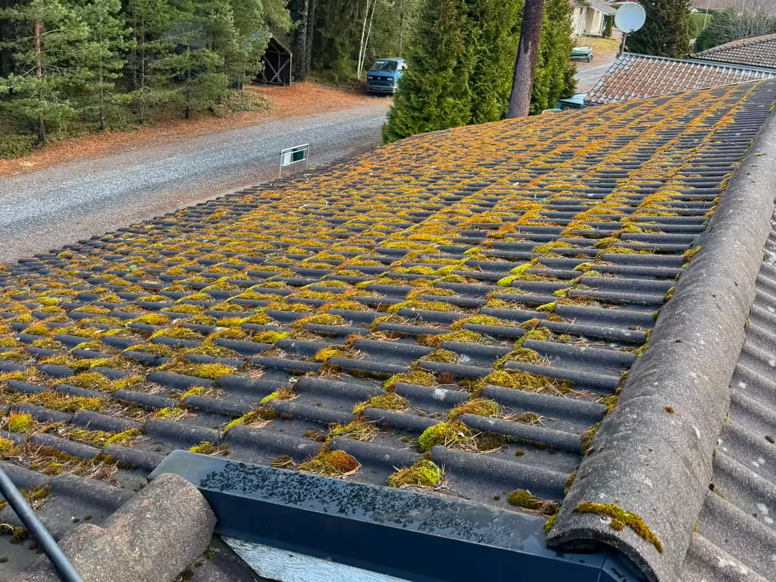 Betonitiilikatto ennen käsittelyä, pinta paksun sammaleen ja jäkälän peitossa