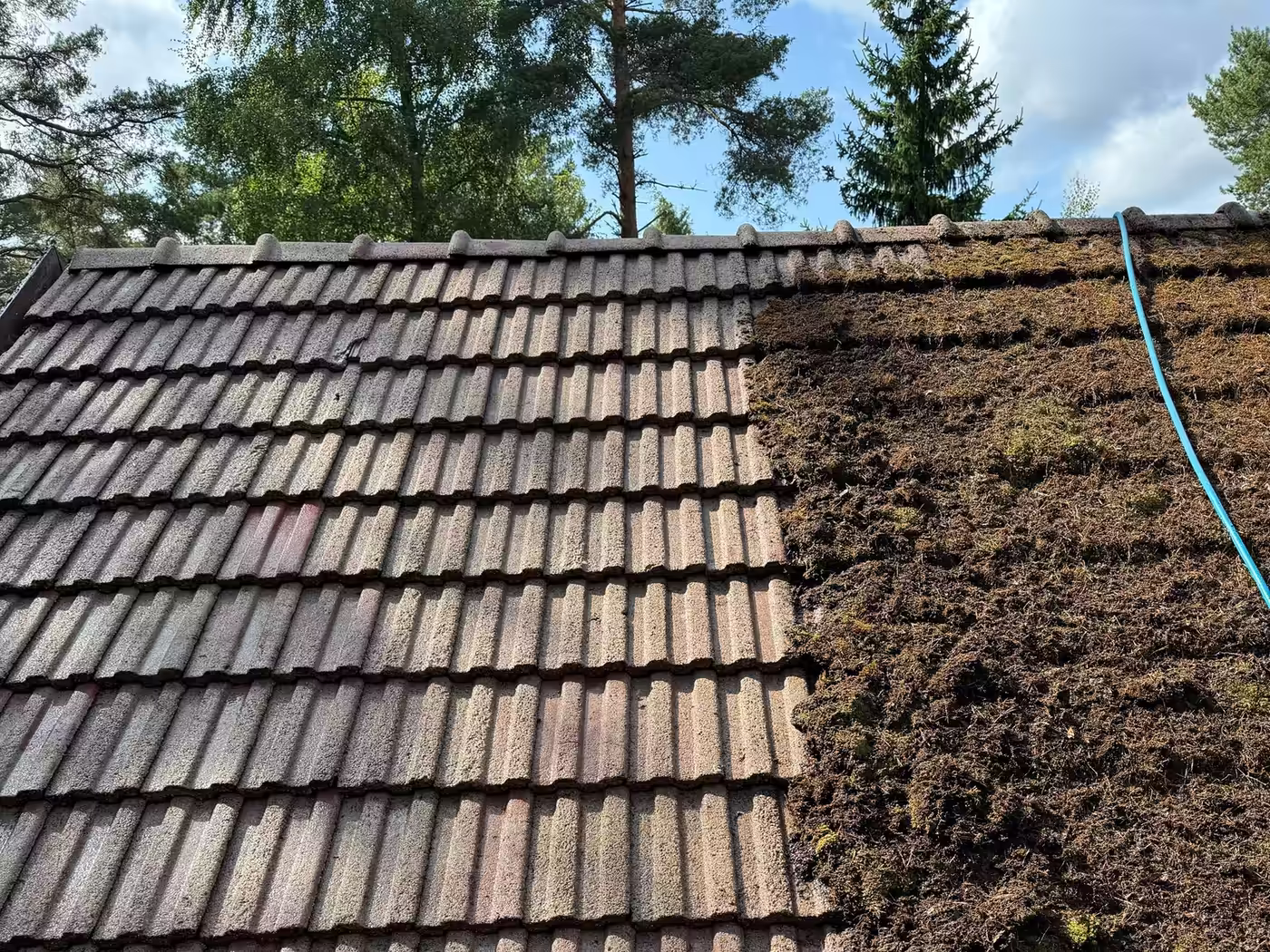 Betonitiilikatto kesken pesun: puhdistettu puoli ja paksu sammalkasvusto vierekkäin