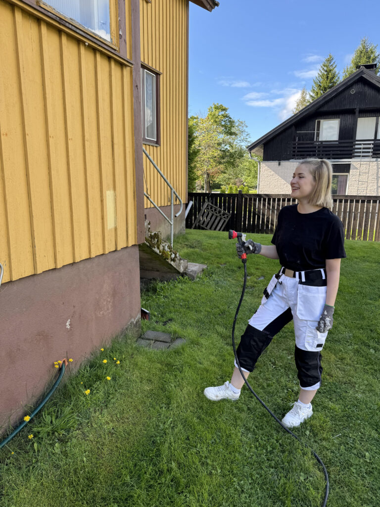 Puhdistus ja peseminen emilia4